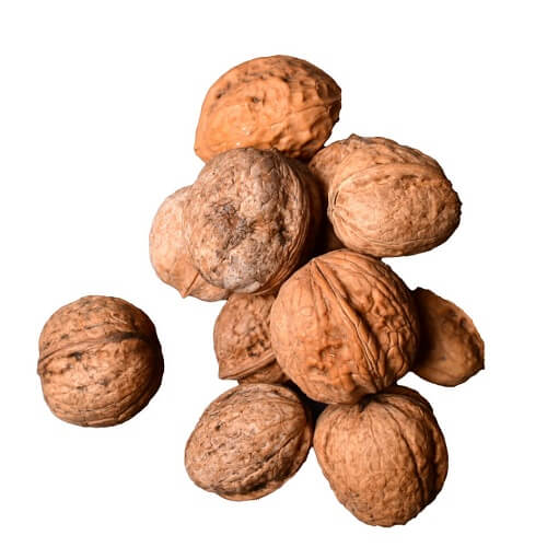 گردو